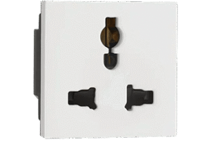 Multistandard socket – Indoasian