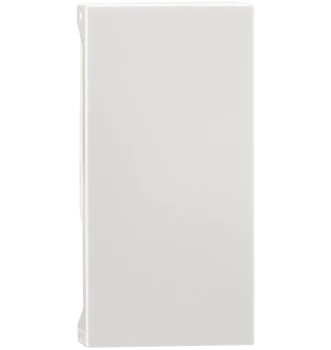 1 mod Blank – Indoasian