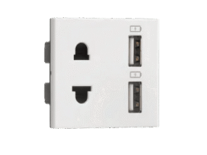 Combi Euro socket and USB Type A + Type A 3.1A – Indoasian