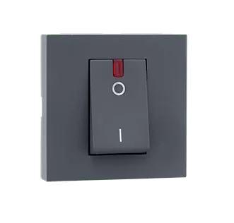 810713.png 32A DP Switch with indicator (Grey) – Indoasian