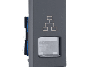 RJ45(Cat 6) (Grey) – Indoasian