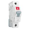 MCB SP C Curve 6 A Havells