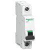 A9N1P40D | miniature circuit breaker – xC60 – 1 pole – 40 A – D curve – Schneider Electric
