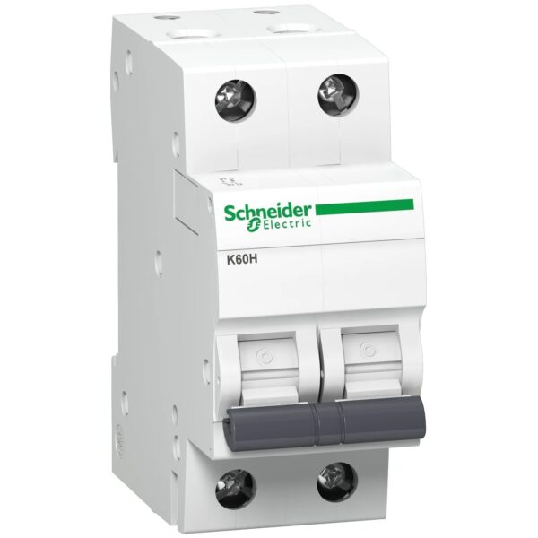 PB114837_1500x1500.jpg A9KF71225BQ | Acti 9 K60H 2P – 25 A – C curve 10 kA – set of 6 – Schneider Electric
