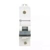 AU HR MCB 125A SP 240V AC 15kA C Curve | L&T
