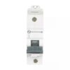 AU HR MCB 80A SP 240V AC 15kA D Curve | L&T