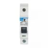 Tripper MCB 10A SP 240V AC 6kA B Curve | L&T