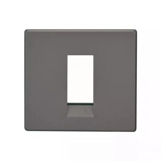 englaze1moduleplatecgold_cb92101fc01_front.jpg englaze 1 module plate C Gold | L&T