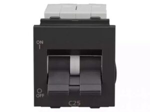 entice 25A DP Mini MCB 3 kA C Grey | L&T