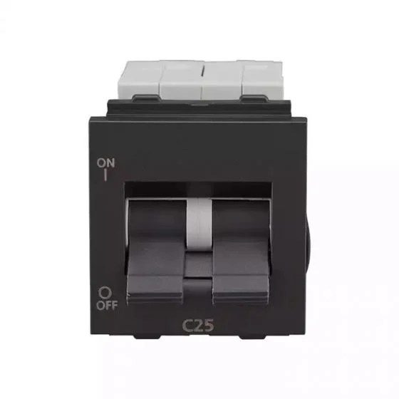 entice25adpminimcb3kacgrey_cb91202kg25_front.jpg entice 25A DP Mini MCB 3 kA C Grey | L&T