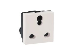 MYRIUS 6/16A-Socket-2 Module-Classic White | Legrand