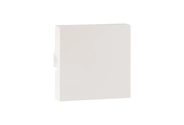 lg-679277-web-r.jpg MYRIUS Blanking Plate-2 Module-Classic White | Legrand