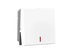 Allzy 20A-Switch-SP-1 Way-with Indicator-2 Module-White | Legrand