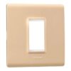 Allzy Cover Plate with Frame-1 Module-Gold | Legrand