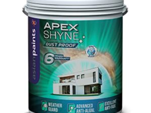 Asian Paints Apex Shyne Dust Proof Exterior Emulsion - White