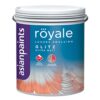 Asian Paints Royale Ultra Matt Glitz Luxury Emulsion Interior Wall Paint - White