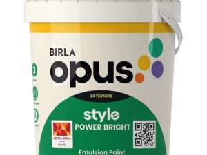 Birla Opus Paint Style Power Bright For Exterior Wall - White