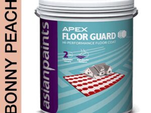 Asian Paints Apex Floor Guard - Bonny Peach