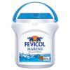 Fevicol Marine Waterproof Adhesive