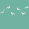 Asian Paints Wall Fashion Stencil Design - Butterfly