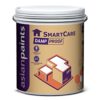 Asian Paints SmartCare Damp Proof - White