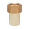 Ashirvad CPVC Female Adapter Brass Threaded - FABT