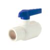Ashirvad CPVC Ball Valve With Brass Threaded - Two Side Thread
