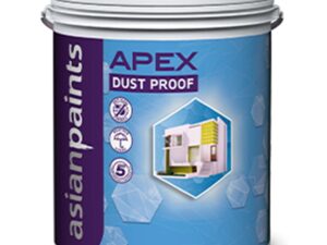 Asian Paints Apex Dust Proof Exterior Emulsion - White