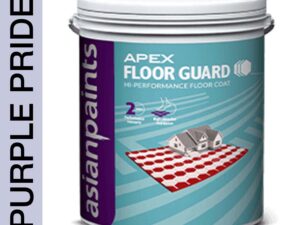 Asian Paints Apex Floor Guard - Purple Pride